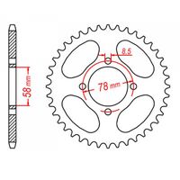 SPROCKET REAR MTX 810 43T #428